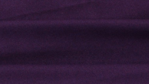Polyester - Plum 1034 - 90x132 rental San Antonio, TX