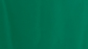 Polyester - Emerald - 13 x 120 (Runner) rental San Antonio, TX