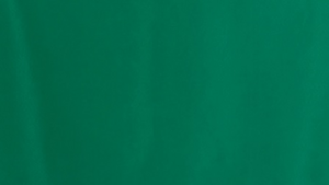 Polyester - Emerald - 90x156 rental San Antonio, TX