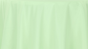Polyester - Mint - 90x156 rental San Antonio, TX
