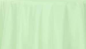 Polyester - Mint - 90x132 rental San Antonio, TX