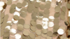 Payette Sequin - Champagne - 13 x 120 (Runner) rental in San Antonio, TX