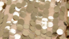 Payette Sequin - Champagne - 8 x 108 (Sash) rental in San Antonio, TX