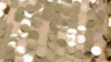Payette Sequin - Champagne - 90x156 rental in San Antonio, TX