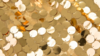 Payette Sequin - Gold - 108x156 rental in San Antonio, TX