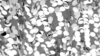 Payette Sequin - Silver - 6 x 108 (Sash) rental in San Antonio, TX