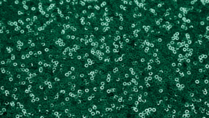 Glitz Sequin - Emerald Green - 108x156 rental San Antonio, TX