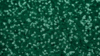 Glitz Sequin - Emerald Green - 108x156 rental in San Antonio, TX