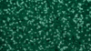 Glitz Sequin - Emerald Green - 120x156 rental in San Antonio, TX