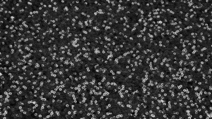 Glitz Sequin - Black - 90x156 rental San Antonio, TX
