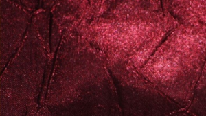 Crush Bichon - Burgundy 628 - 120 Rnd rental San Antonio, TX