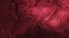 Crush Bichon - Burgundy 628 - 132 Rnd rental in San Antonio, TX