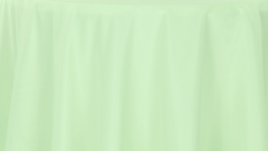 Polyester - Mint - 108x132 rental San Antonio, TX