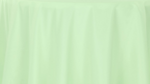 Polyester - Mint - 120x156 rental San Antonio, TX