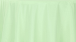 Polyester - Mint - 13 x 120 (Runner) rental San Antonio, TX