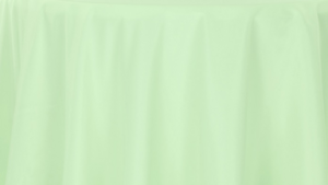 Polyester - Mint - 8 x 108 (Sash) rental San Antonio, TX