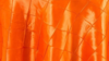 Pintuck - Hot Orange - 6 x 108 (Sash) rental in San Antonio, TX