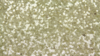 Glitz Sequin - Ivory Gold - 108x132 rental in San Antonio, TX