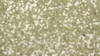 Glitz Sequin - Ivory Gold - 108x156 rental in San Antonio, TX