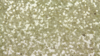 Glitz Sequin - Ivory Gold - 18 x 120 (Runner) rental in San Antonio, TX