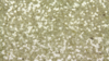 Glitz Sequin - Ivory Gold - 90x132 rental in San Antonio, TX