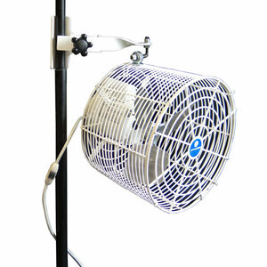 Tent Pole Fan rental Austin, TX