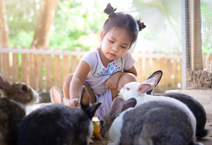 Traveling Petting Zoo rental Austin, TX