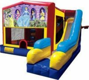 Bounce House Combo with Disney Princess Panel rental San Antonio, TX