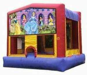 15x15 Disney Princess Bounce House  rental Houston, TX