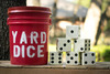 Yard Dice rental in Houston, TX