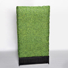 Tall Boxwood Hedge rental in Houston, TX