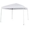 10 x 10 Canopy / Pop Up Tent rental in Dallas-Ft. Worth, TX