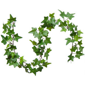 Decorative Ivy rental New Orleans, LA