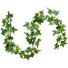 Decorative Ivy rental in New Orleans, LA