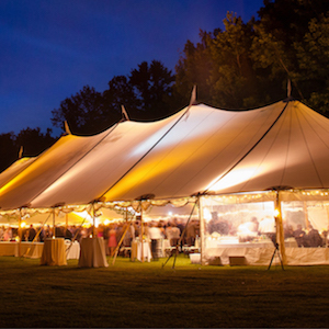 Gazebos & Chuppahs